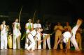 5e Nuit des Sports 5e nuit des sports Capoeira 350